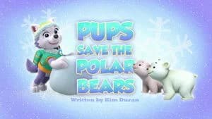 PAW Patrol 3. Sezon 19. Bölüm
