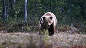 Vetenskapens värld 45. Sezon 7. Bölüm