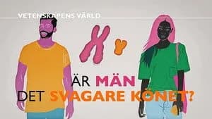 Vetenskapens värld 47. Sezon 7. Bölüm