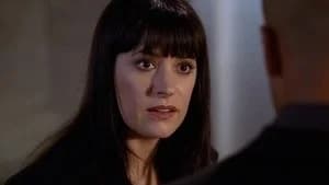 Criminal Minds 4. Sezon 17. Bölüm