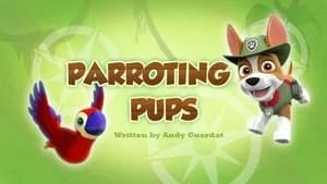 PAW Patrol 3. Sezon 28. Bölüm