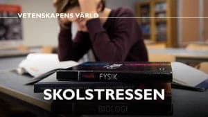Vetenskapens värld 48. Sezon 19. Bölüm