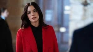 Law & Order 25. Sezon 11. Bölüm