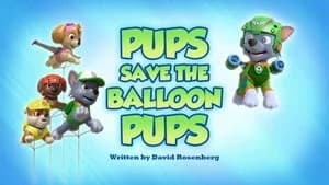 PAW Patrol 6. Sezon 35. Bölüm