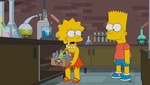 The Simpsons 28. Sezon 5. Bölüm