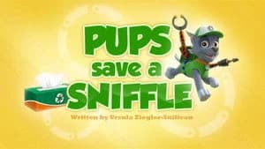 PAW Patrol 2. Sezon 32. Bölüm