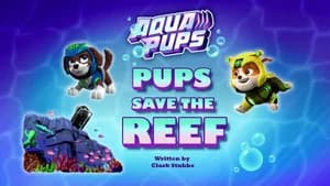 PAW Patrol 9. Sezon 26. Bölüm