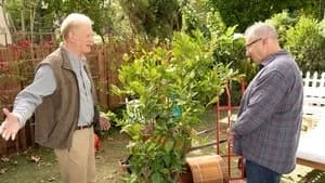 Modern Family 10. Sezon 9. Bölüm