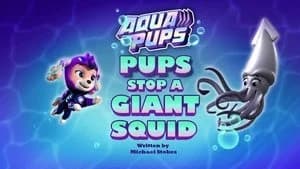 PAW Patrol 9. Sezon 27. Bölüm