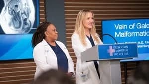 Grey's Anatomy 20. Sezon 4. Bölüm