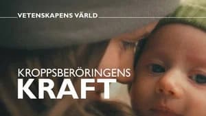Vetenskapens värld 47. Sezon 34. Bölüm