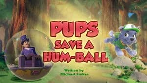 PAW Patrol 12. Sezon 8. Bölüm