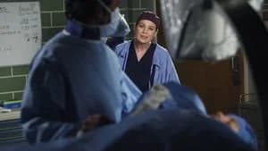 Grey's Anatomy 10. Sezon 20. Bölüm