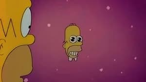 The Simpsons 8. Sezon 22. Bölüm