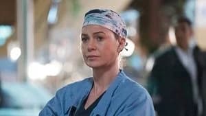 Grey's Anatomy 13. Sezon 24. Bölüm