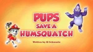 PAW Patrol 6. Sezon 40. Bölüm