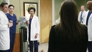 Grey's Anatomy 11. Sezon 22. Bölüm