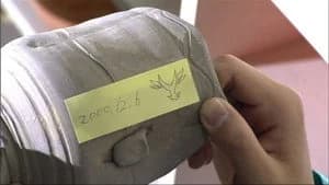 仮面ライダー 11. Sezon 11. Bölüm