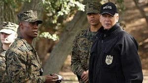 NCIS 11. Sezon 8. Bölüm