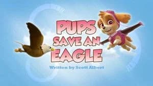 PAW Patrol 2. Sezon 45. Bölüm