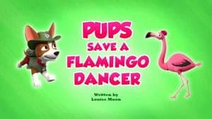 PAW Patrol 9. Sezon 40. Bölüm
