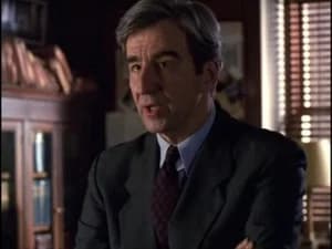 Law & Order: Special Victims Unit 1. Sezon 15. Bölüm