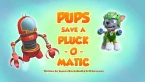 PAW Patrol 5. Sezon 45. Bölüm