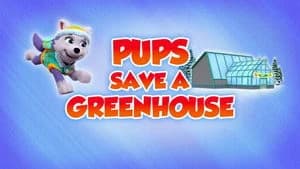 PAW Patrol 8. Sezon 43. Bölüm