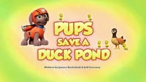 PAW Patrol 5. Sezon 24. Bölüm