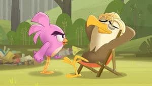 Angry Birds: Summer Madness 2. Sezon 8. Bölüm