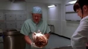 NCIS 3. Sezon 15. Bölüm
