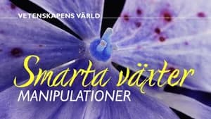 Vetenskapens värld 51. Sezon 2. Bölüm