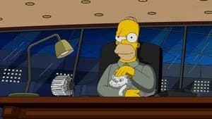 The Simpsons 28. Sezon 4. Bölüm