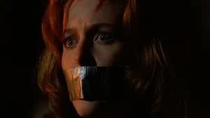 The X-Files 2. Sezon 24. Bölüm