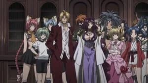 High School DxD 1. Sezon 8. Bölüm