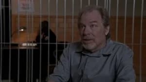 Law & Order: Special Victims Unit 13. Sezon 13. Bölüm