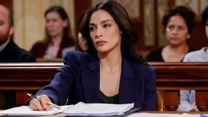 Law & Order 22. Sezon 4. Bölüm
