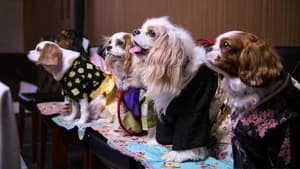 Dogs 1. Sezon 4. Bölüm