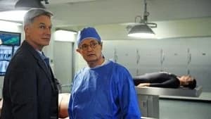 NCIS 9. Sezon 15. Bölüm