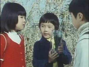仮面ライダー 4. Sezon 11. Bölüm