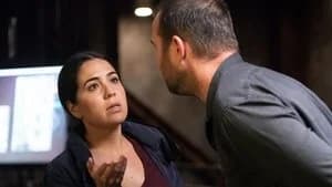 Blindspot 5. Sezon 3. Bölüm