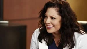 Grey's Anatomy 11. Sezon 16. Bölüm