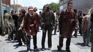 The Walking Dead 1. Sezon 2. Bölüm