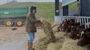 Clarkson's Farm 2. Sezon 4. Bölüm