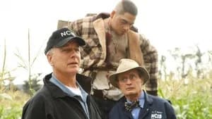 NCIS 7. Sezon 9. Bölüm