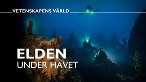Vetenskapens värld 49. Sezon 3. Bölüm