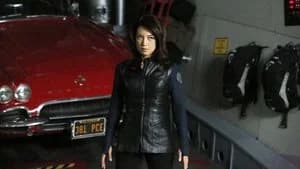Marvel's Agents of S.H.I.E.L.D. 1. Sezon 17. Bölüm