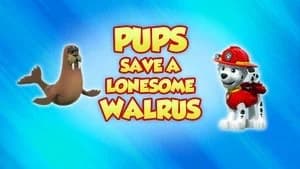PAW Patrol 8. Sezon 40. Bölüm