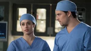 Grey's Anatomy 14. Sezon 19. Bölüm