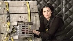 Blindspot 2. Sezon 21. Bölüm